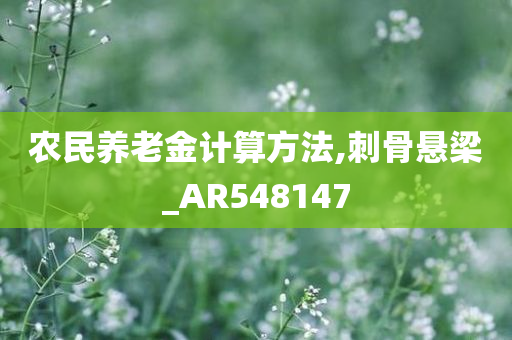 农民养老金计算方法,刺骨悬梁_AR548147