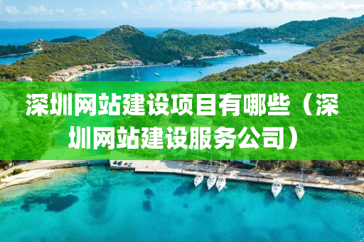 深圳网站建设项目有哪些（深圳网站建设服务公司）